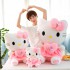 Melody Plushie Doll Stuffed Toys 7